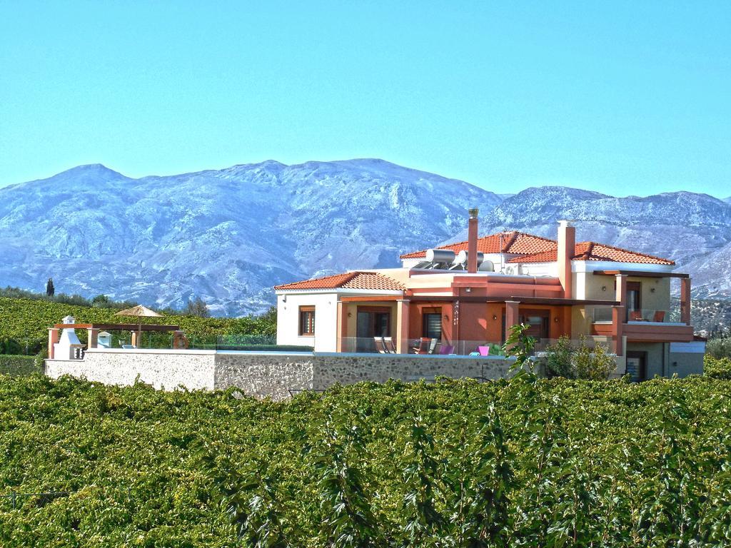 Cretan Vineyard Hill Villa Κάτω Καλέσια Εξωτερικό φωτογραφία