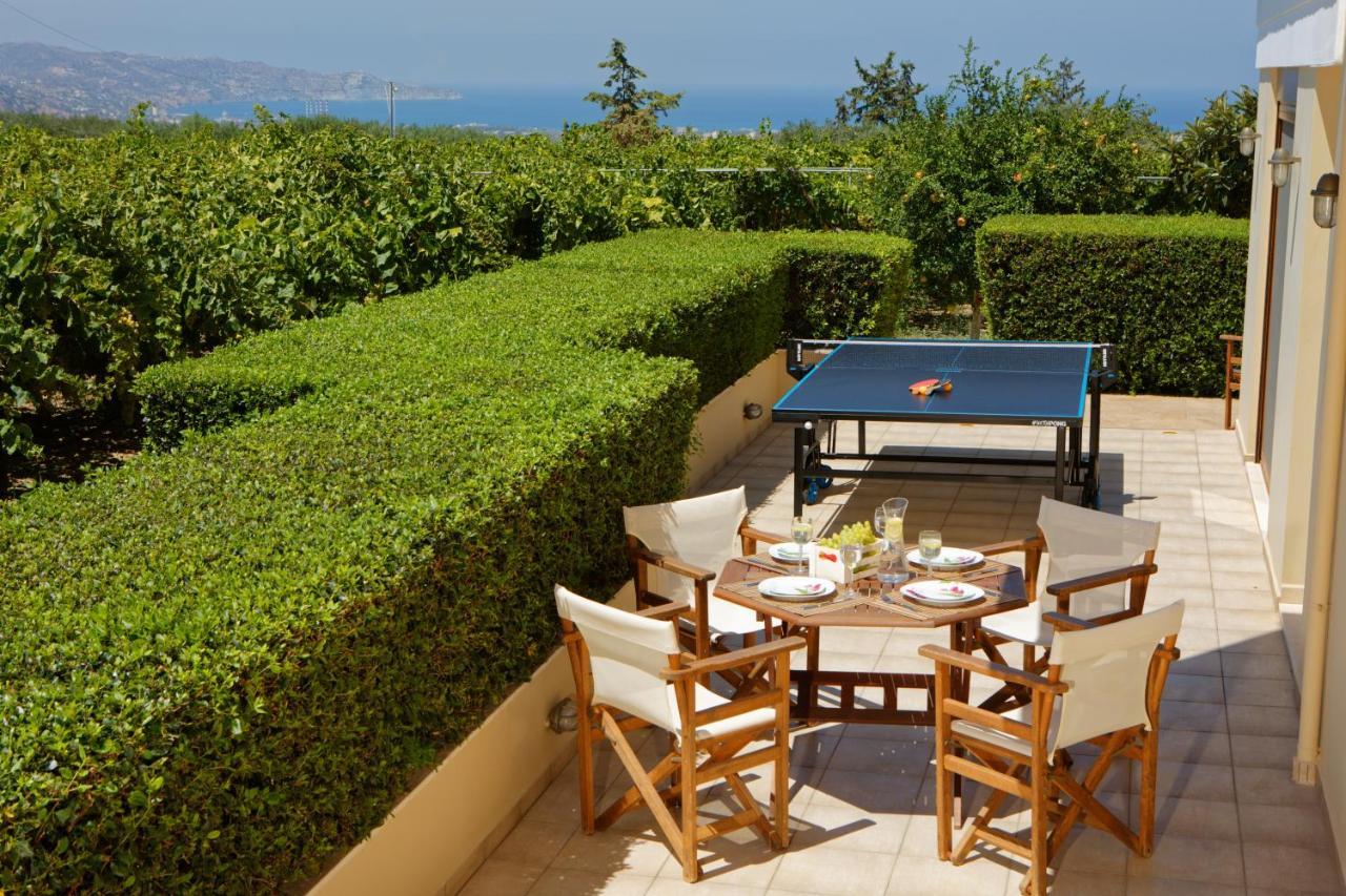 Cretan Vineyard Hill Villa Κάτω Καλέσια Εξωτερικό φωτογραφία
