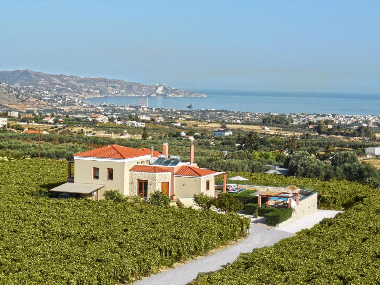 Cretan Vineyard Hill Villa Κάτω Καλέσια Εξωτερικό φωτογραφία
