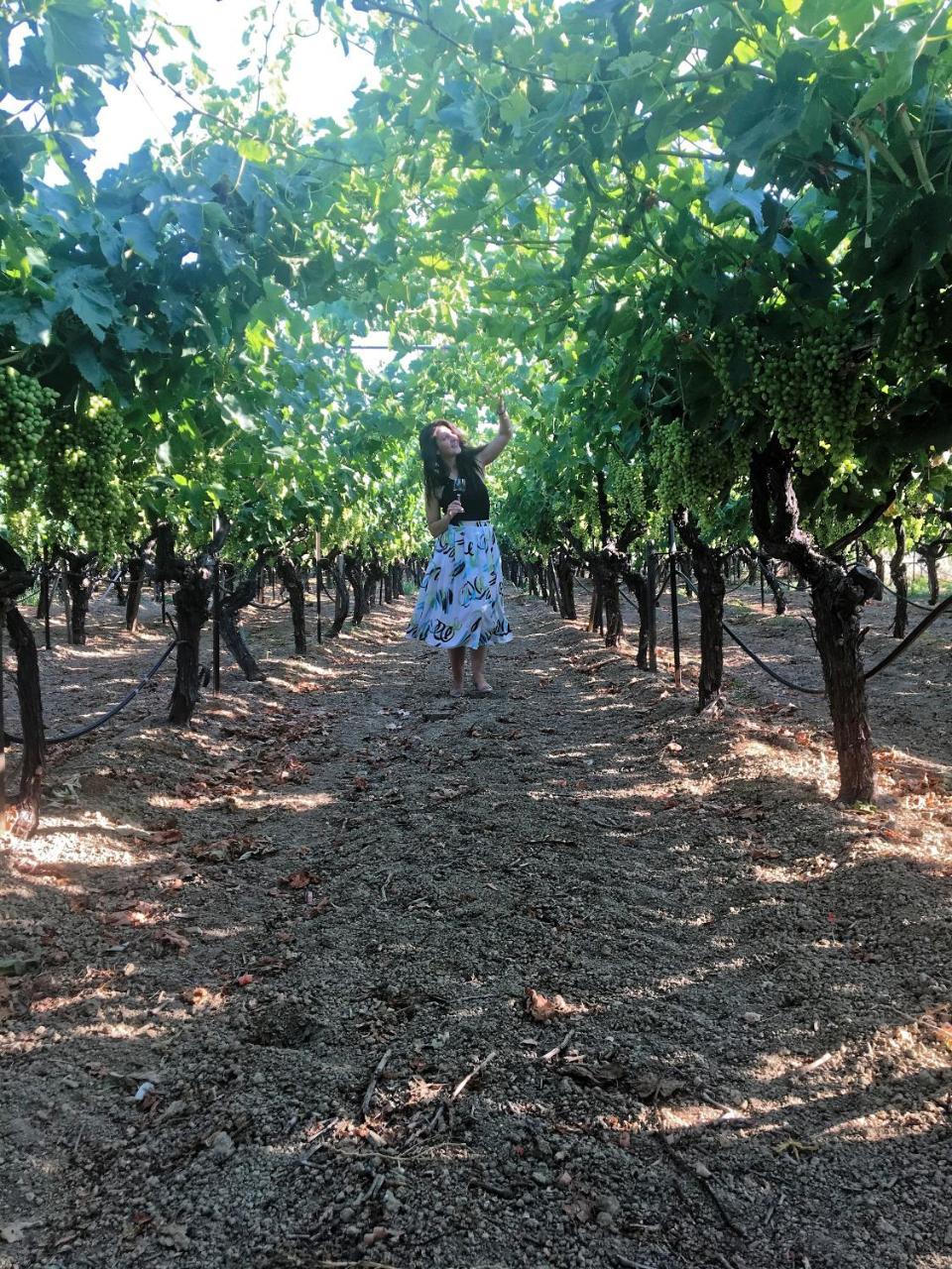 Cretan Vineyard Hill Villa Κάτω Καλέσια Εξωτερικό φωτογραφία